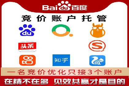 SEO与百度推广结合的营销策略——经典案例解析